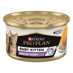 Cat Baby Kitten Mousse Poulet Boîte