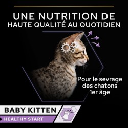 Cat Baby Kitten Mousse Poulet Boîte