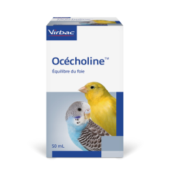 Océcholine