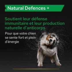 PROPLAN NATURAL DEFENSES CHIEN 45 CP