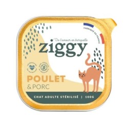 Ziggy Chat Adulte Stérilisé...