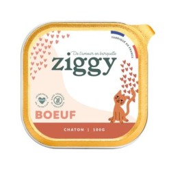 Ziggy Chaton Boeuf 100G