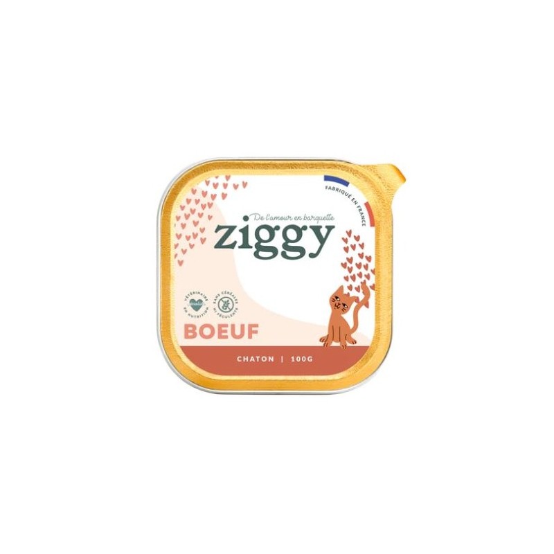 Ziggy Chaton Boeuf 100G