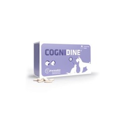 Cognidine