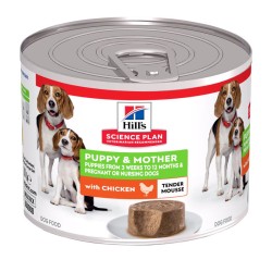 Chien Puppy & Mother Mousse...