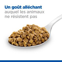 Chien Mature Adult 7+ Boeuf