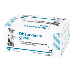 Observence Chien