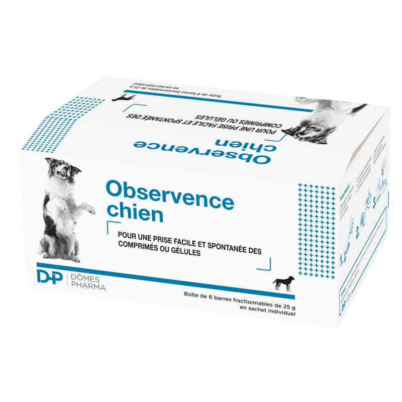 Observence Chien