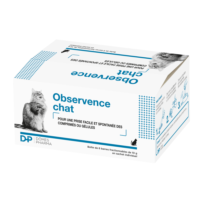 Observence Chat