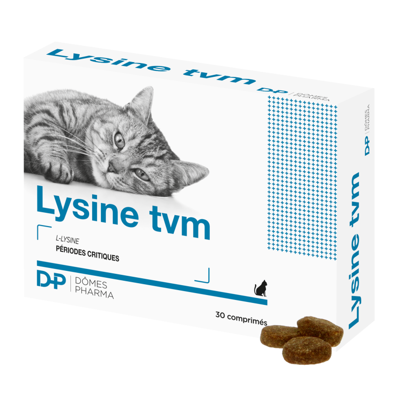 Lysine