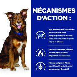 Chien Metabolic Mijotés Boeuf & Légumes Boîte
