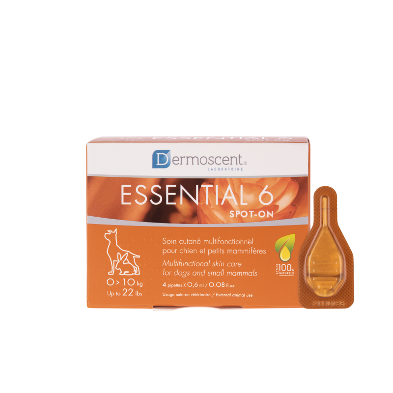 Dermoscent Essential 6 Chien