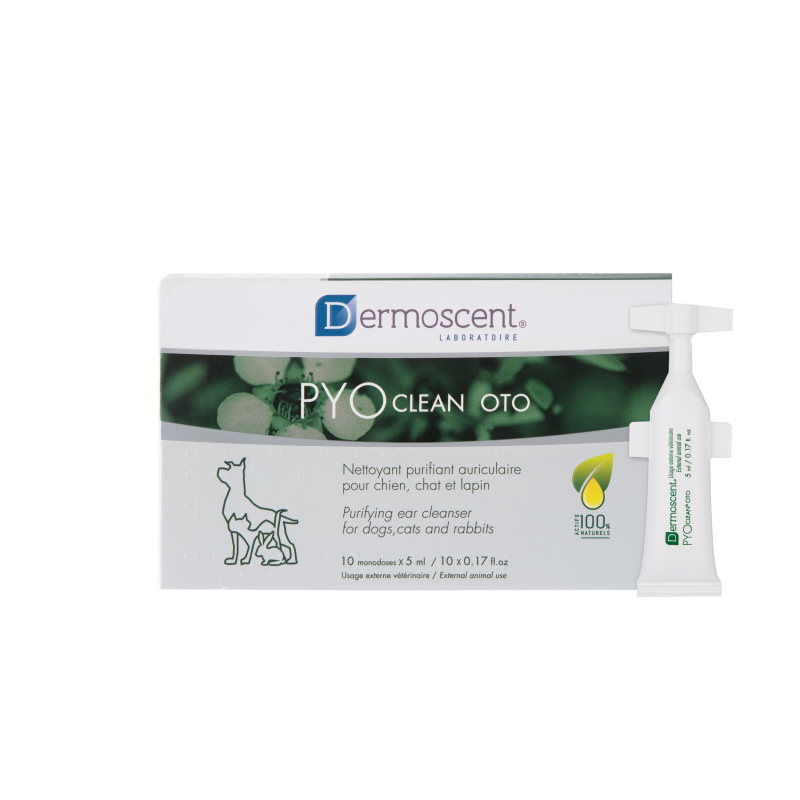 Dermoscent Pyoclean Oto Chien