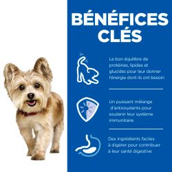 Chien Mature Adult Small & Mini Boeuf Mousse