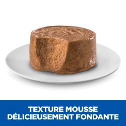 Chien Mature Adult Small & Mini Boeuf Mousse