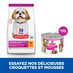 Chien Mature Adult Small & Mini Boeuf Mousse