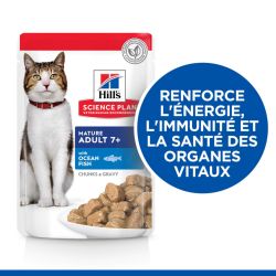Chat Mature Adult Poisson sachet repas