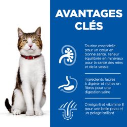 Chat Mature Adult Poisson sachet repas