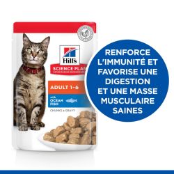 Chat Adult Poisson sachet repas