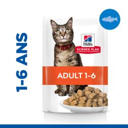 Chat Adult Poisson sachet repas