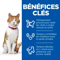 Chat Adult Sterilised Cat Saumon sachet repas