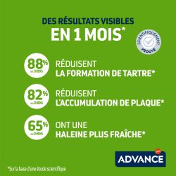 Advance Chien Stick Dental Care Medium Maxi