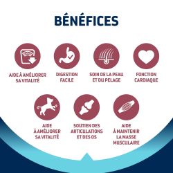 Advance Active Defense Chien Mini Senior Vitality - Poulet