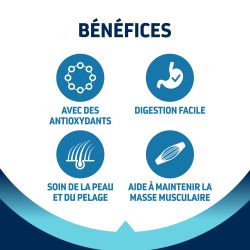 Advance Active Defense Chien Medium Adulte - Poulet