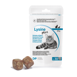 Lysine Plus