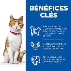 Chat Adult Sterilised  Saumon