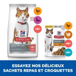 Chat Adult Sterilised  Saumon