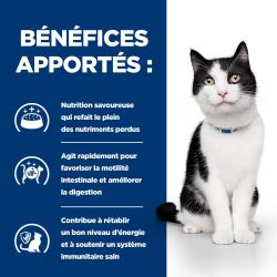 Chat i/d Digestive Care Poulet et Légumes Boîtes