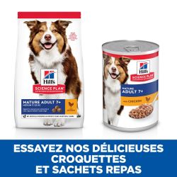 Chien Mature Adult Poulet boite