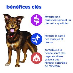 Vet Essentials Chien Multi-Benefit - Adult Poulet & Légumes