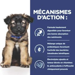 Chien i/d digestive care puppy