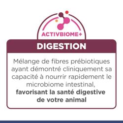 Chien i/d digestive care puppy