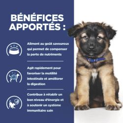 Chien i/d digestive care puppy boîte