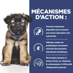 Chien i/d digestive care puppy boîte