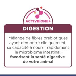 Chien i/d digestive care puppy boîte