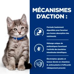 Chat i/d digestive care kitten