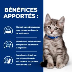 Chat i/d digestive care kitten