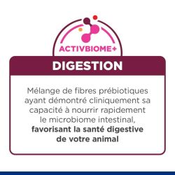 Chat i/d digestive care kitten