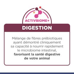 Chat i/d Digestive Care Kitten Poulet Sachet repas