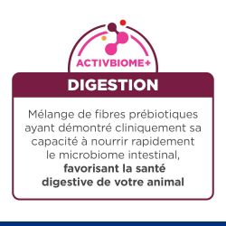 Chat I/D Digestive