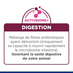Chat i/d Digestive Care Poulet et Légumes Boîtes