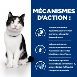 Chat i/d Digestive Poulet Sachet Repas