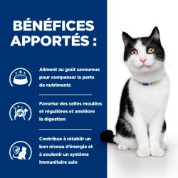 Chat i/d Digestive Saumon Sachet Repas