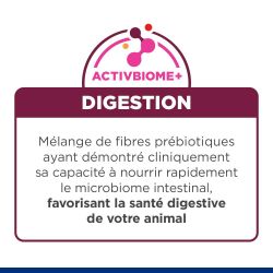 Chat i/d Digestive Saumon Sachet Repas