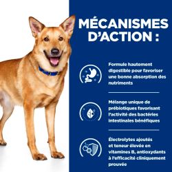 Chien i/d Digestive Care Dinde Boîte