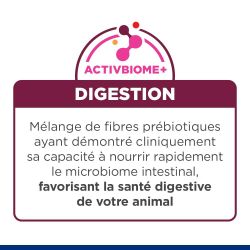 Chien i/d Digestive Care Dinde Boîte